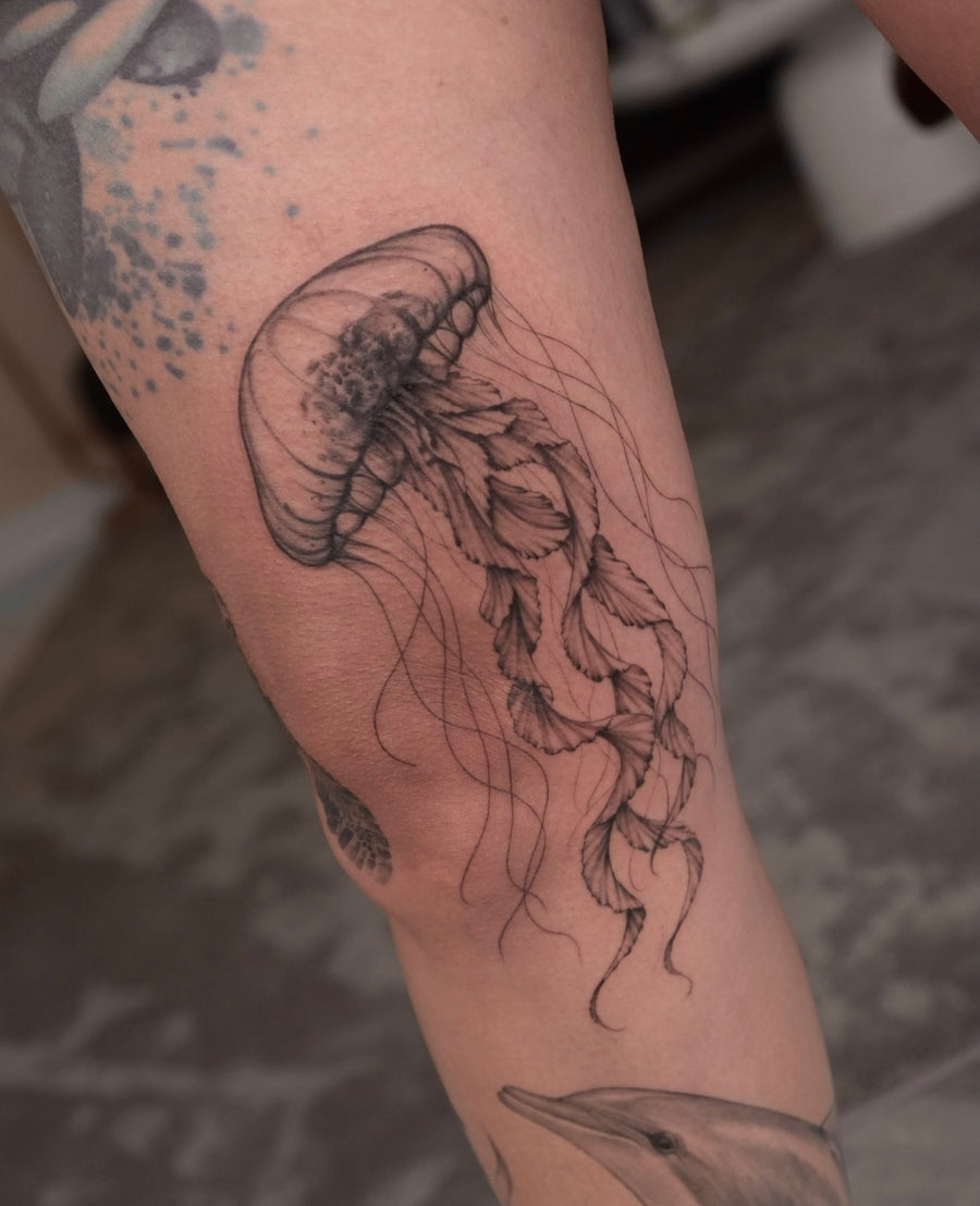 Fine line jellyfish tattoo by Kim